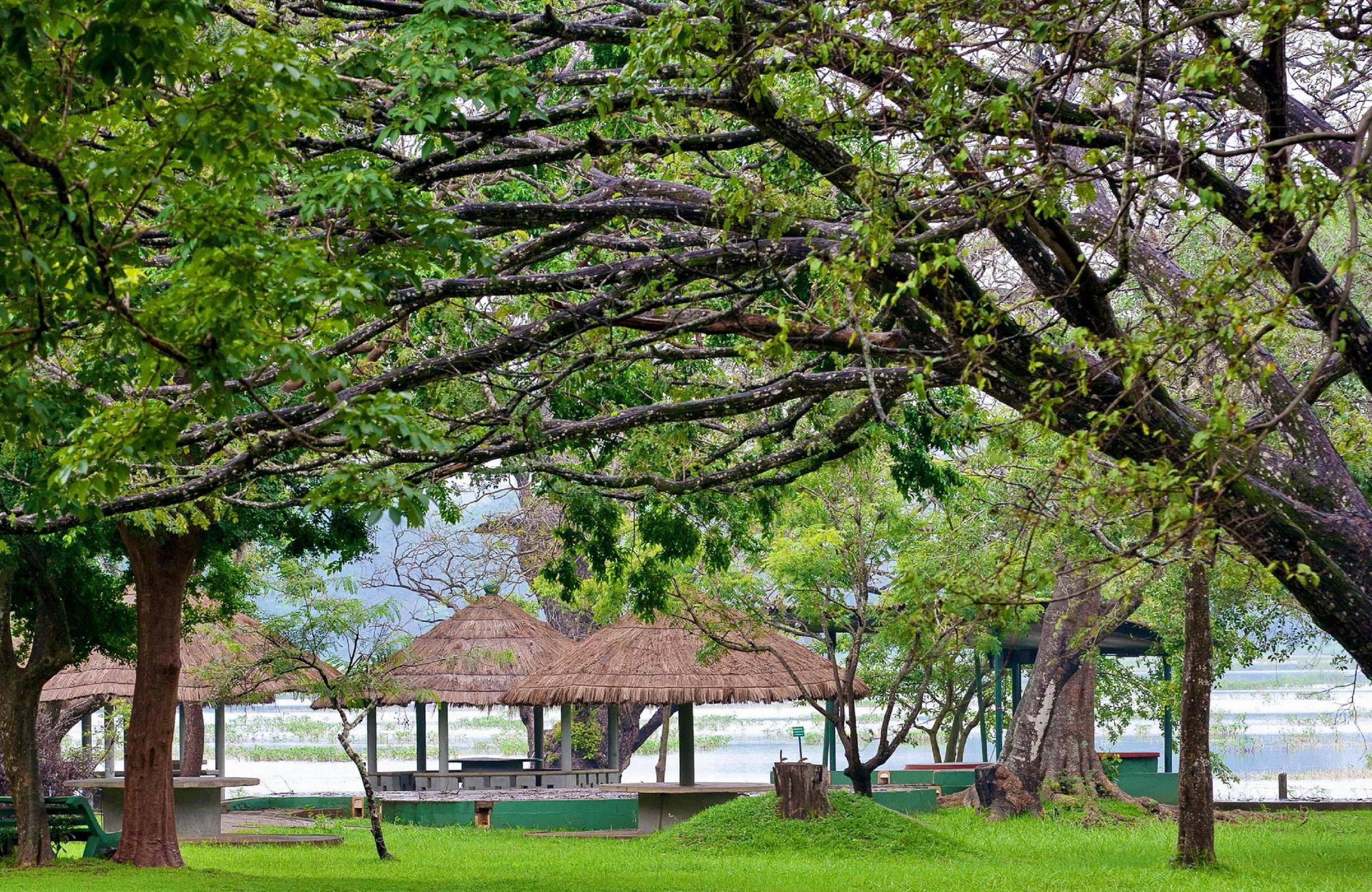 Habarana Village By Cinnamon Exterior photo